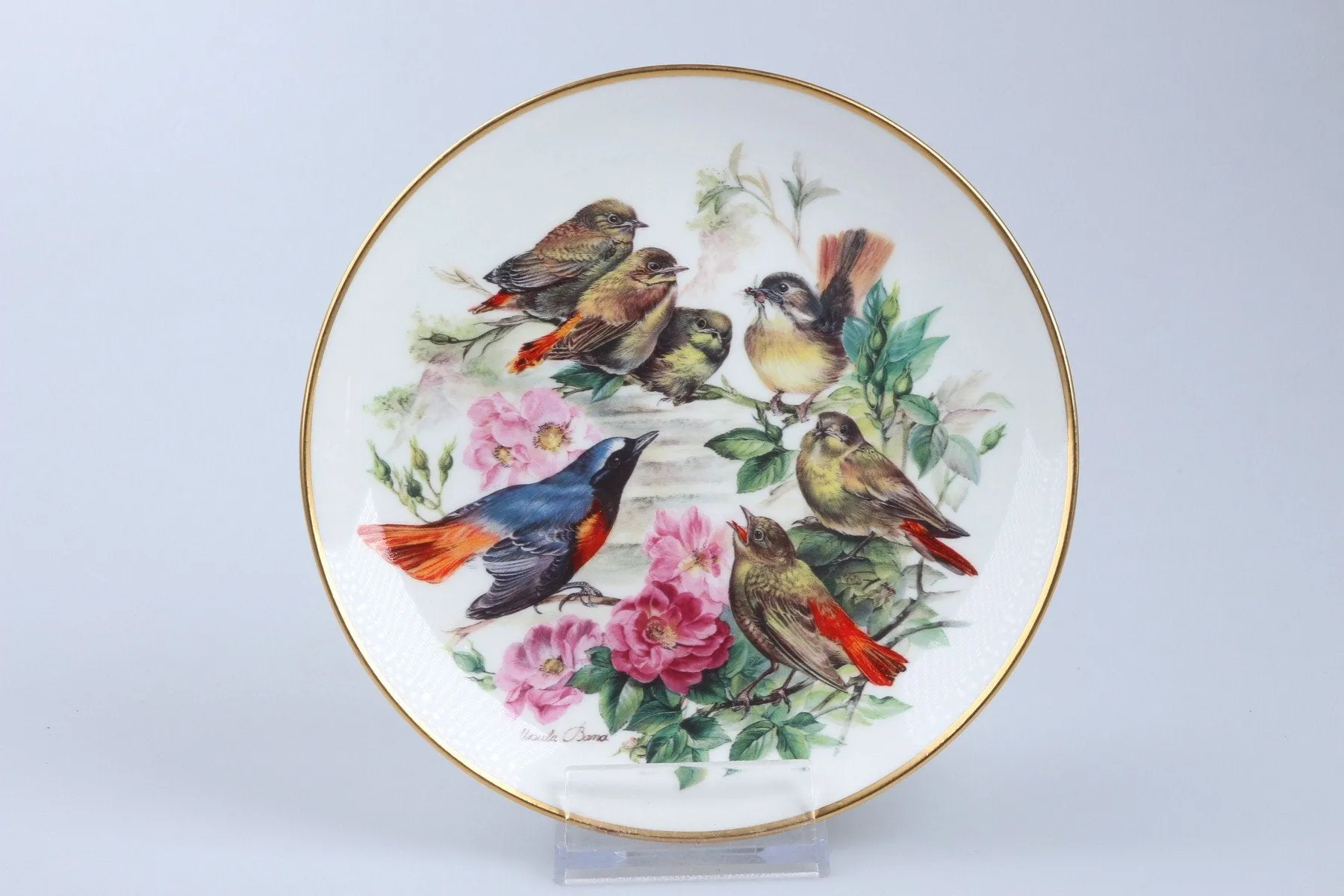 Familie Gartenrotschwanz - Hutschenreuther Wandteller Ursula Bands Vogelfamilien