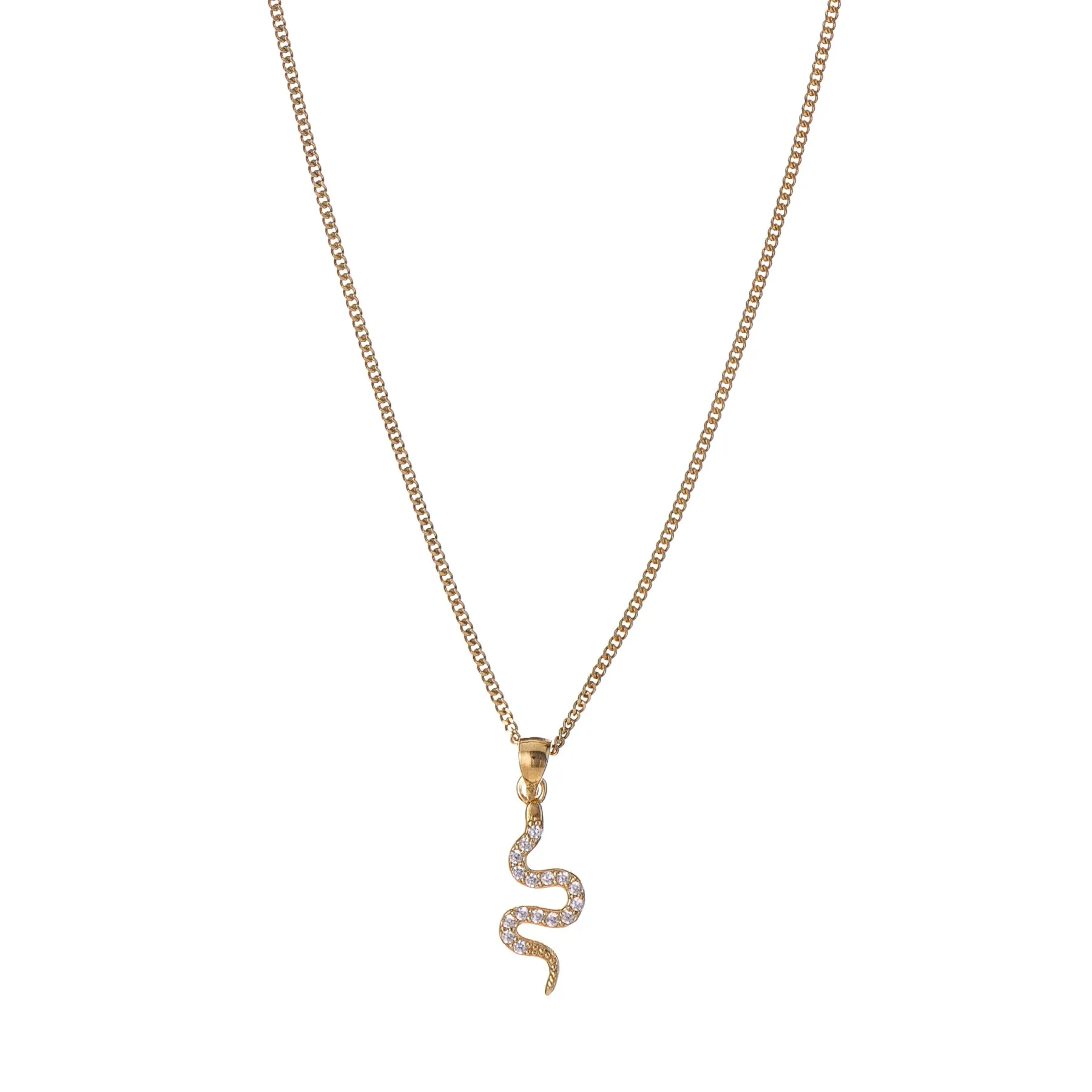 Buy necklace plated gold | Shiny Snake | Alisia Jewels– Alisia jewels com