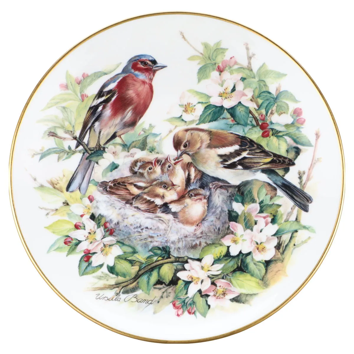 Kinderstube bei den Buchfinken - Hutschenreuther Wandteller Ursula Bands Vogelfamilien