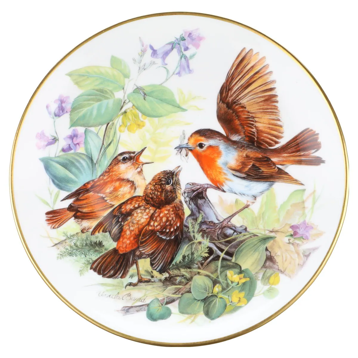 Hungrige Rotkehlchen - Hutschenreuther Wandteller Ursula Bands Vogelfamilien