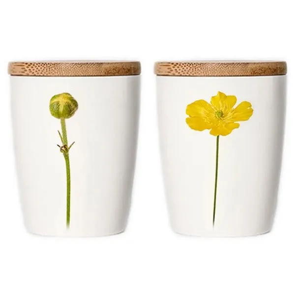 Simply Flowers Tasse Hahnenfuß (Klein)