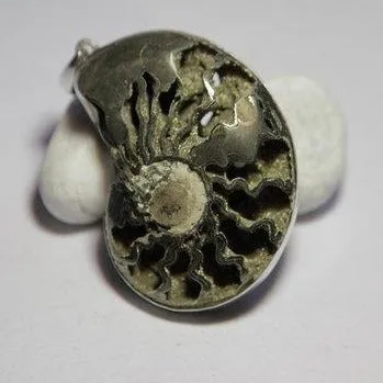 AMMONIT-PYRIT-Anhänger