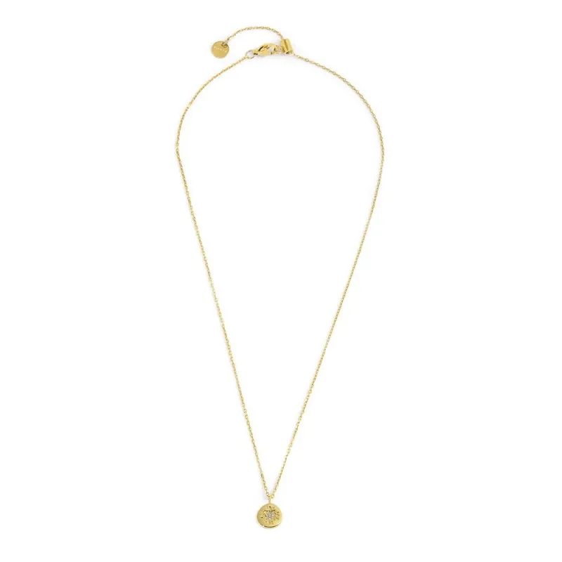 Collana medaglietta rosa dei venti pendente